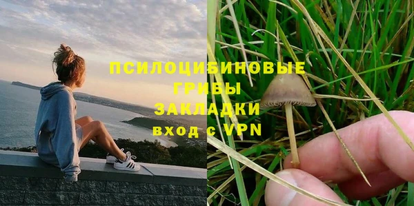дмт Алзамай