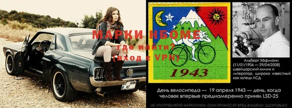 дмт Алзамай