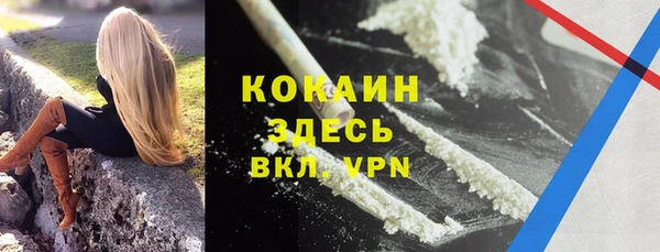 дмт Алзамай