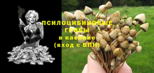 соль курить ск Алексеевка