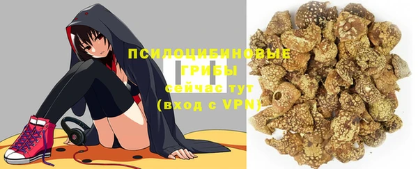 дмт Алзамай