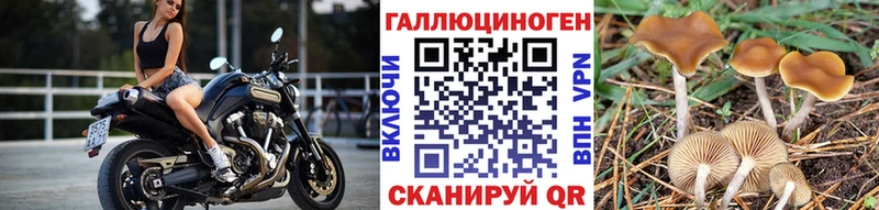 где можно купить наркотик  Уссурийск  Псилоцибиновые грибы Psilocybine cubensis 