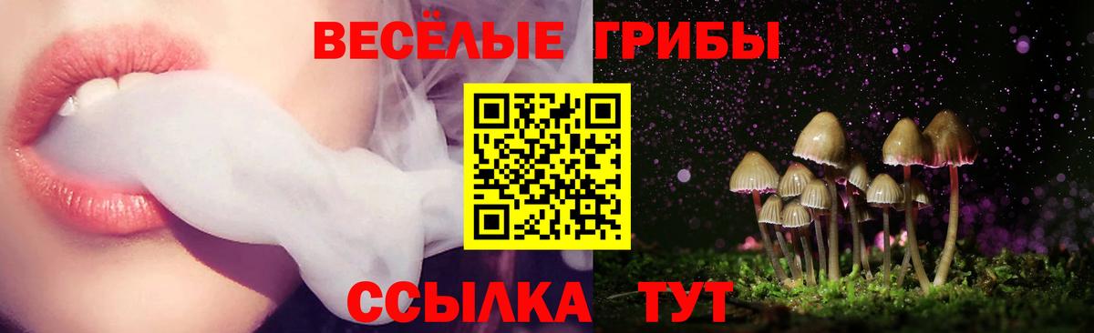 Псилоцибиновые грибы Magic Shrooms  Псилоцибиновые грибы Magic Shrooms  Вход с VPN  Уссурийск 